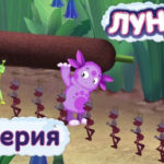 Лунтик и его друзья — Камыш (18 серия)