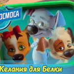 Белка и Стрелка — Тайны космоса — Желания для Белки (16 серия)