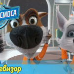 Белка и Стрелка — Тайны космоса — Ревизор (29 серия)