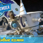 Белка и Стрелка — Тайны космоса — Живые камни (28 серия)